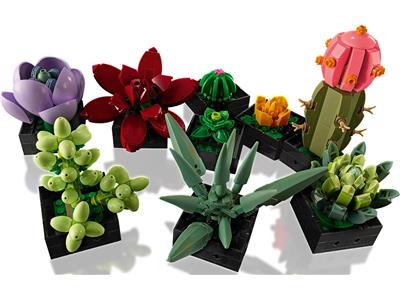 LEGO Botanical Collection - 10309 - Plantes succulentes