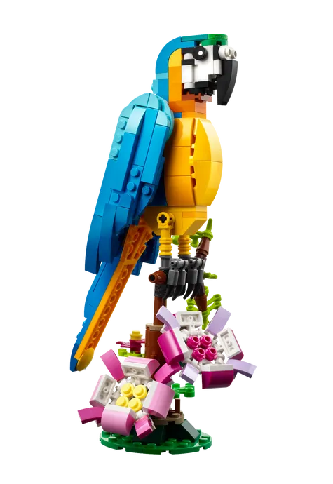 Créateur LEGO - 31136 - Perroquet exotique